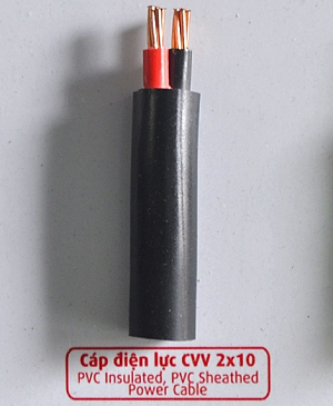 Cáp bọc cách điện vỏ bọc PVC 0.6-1kV-2Cx10mm2 Cadivi